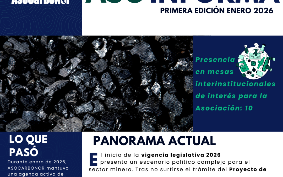 Boletín ASOINFORMA ENERO 2026